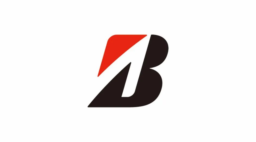 Bridgestone Customer Experience Executive job in Bengaluru, Karnataka